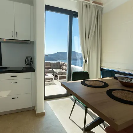 Apellon Mykonos וילה פנורמוס מיקונוס